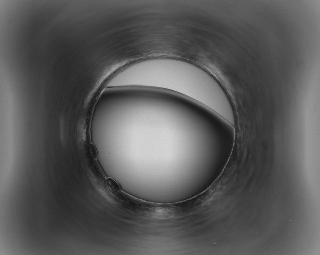 X0000086970060200704161155