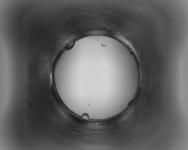 X0000086970061200704161155