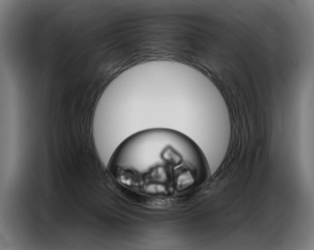 X0000086970084200704161156