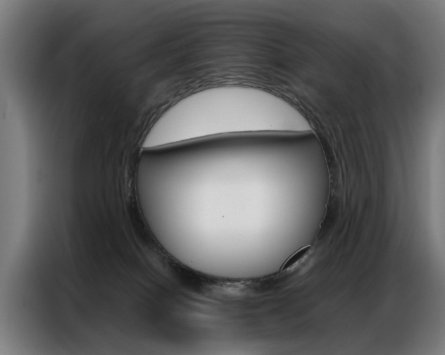 X0000086970086200704161156