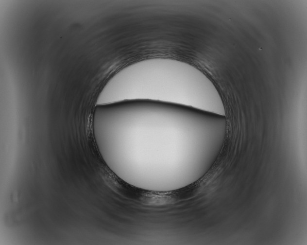 X0000086970093200704161156