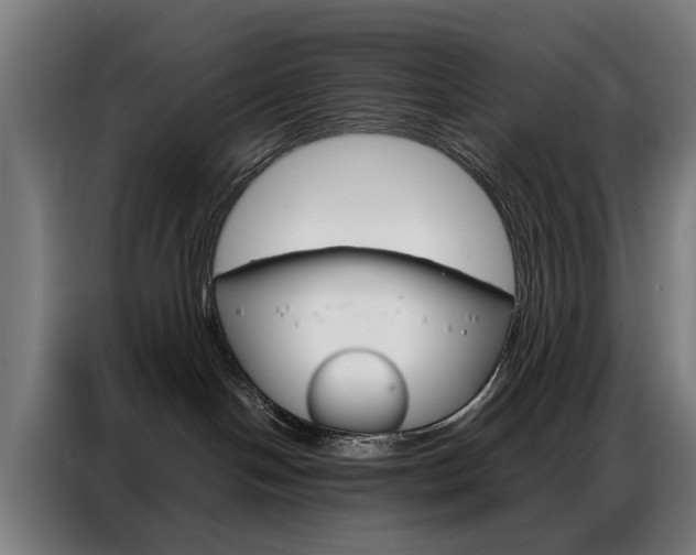 X0000086970094200704161156