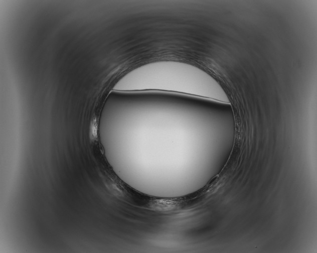 X0000086970095200704161156