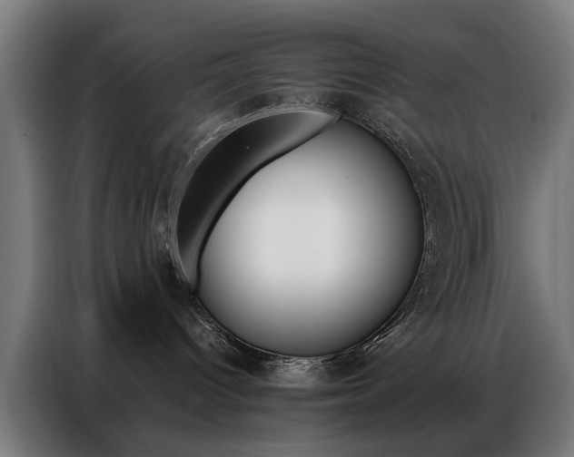 X0000086970096200704161156