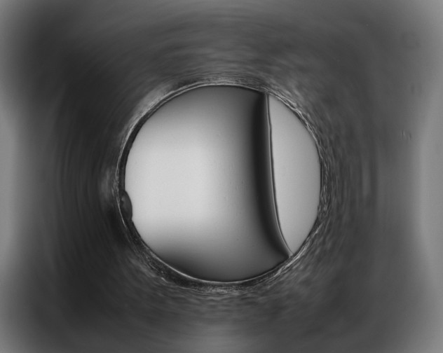 X0000086970099200704161155