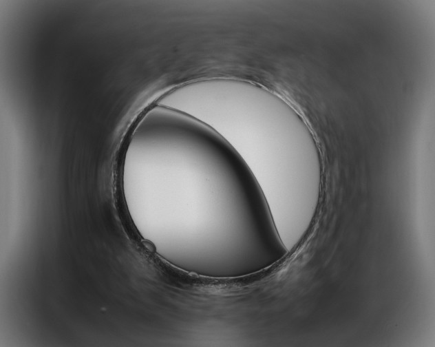 X0000086970103200704161155