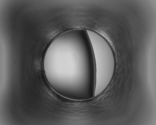 X0000086970105200704161155