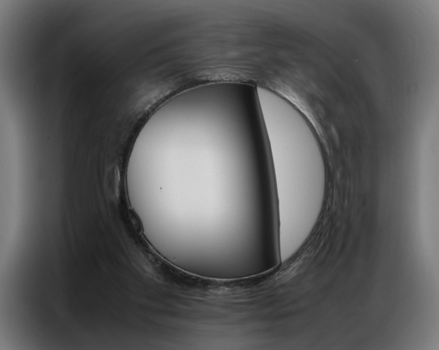 X0000086970109200704161155
