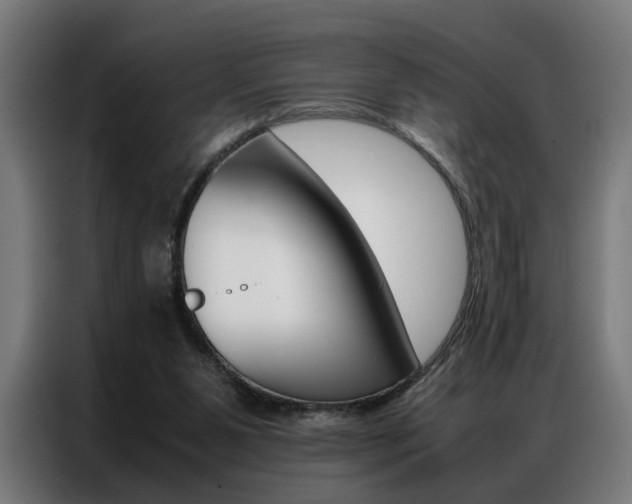 X0000086970111200704161155