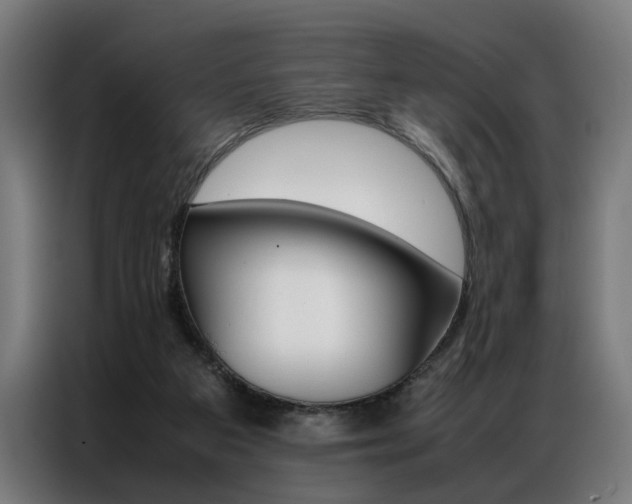 X0000086970113200704161155