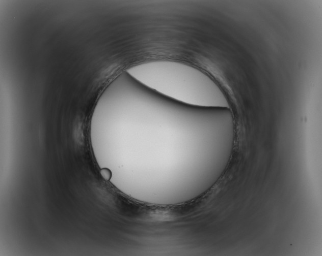X0000086970114200704161155