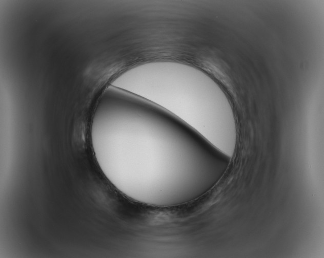 X0000086970115200704161155