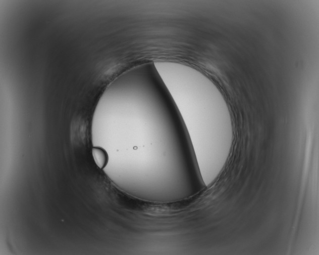 X0000086970123200704161155