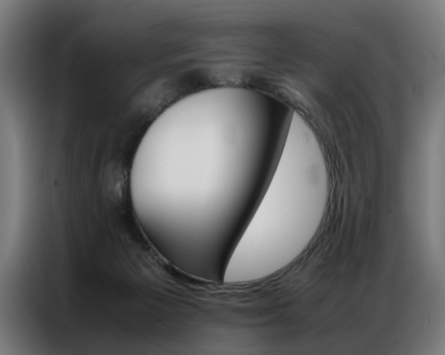 X0000086970125200704161155