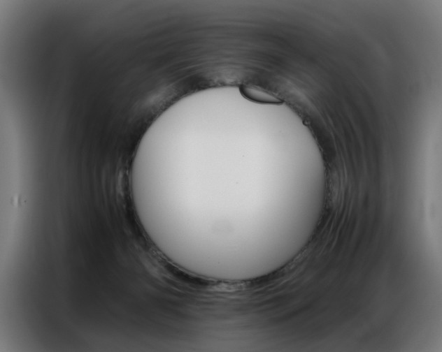 X0000086970126200704161155