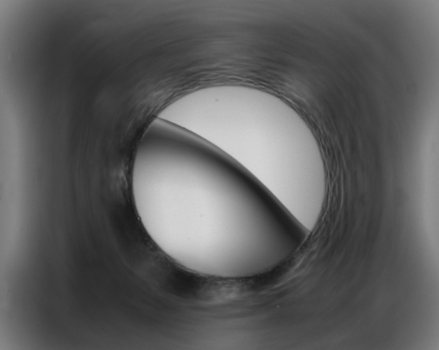 X0000086970127200704161155