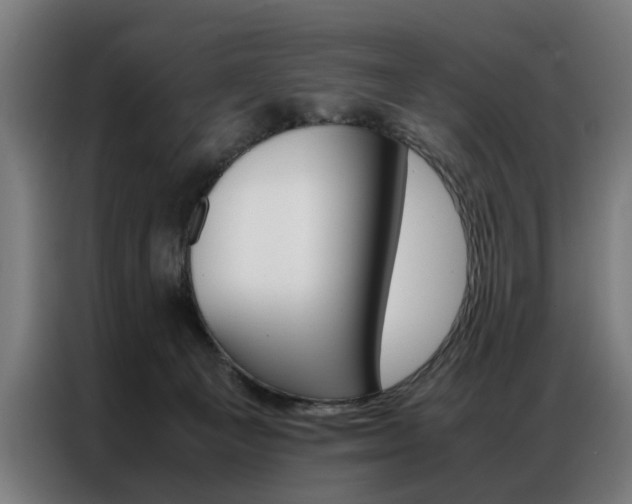 X0000086970129200704161155