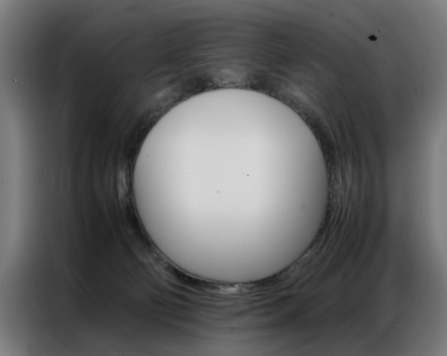 X0000086970130200704161155