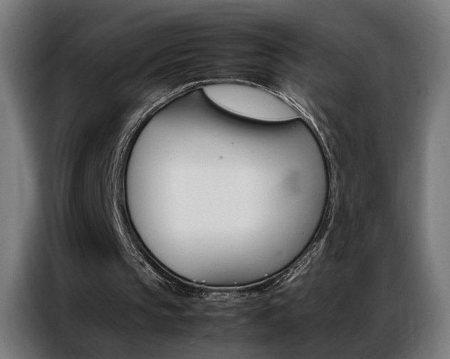 X0000086970145200704161154