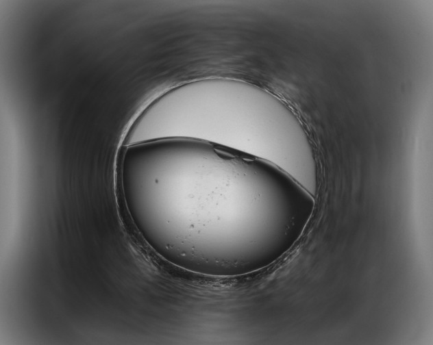 X0000086970148200704161154