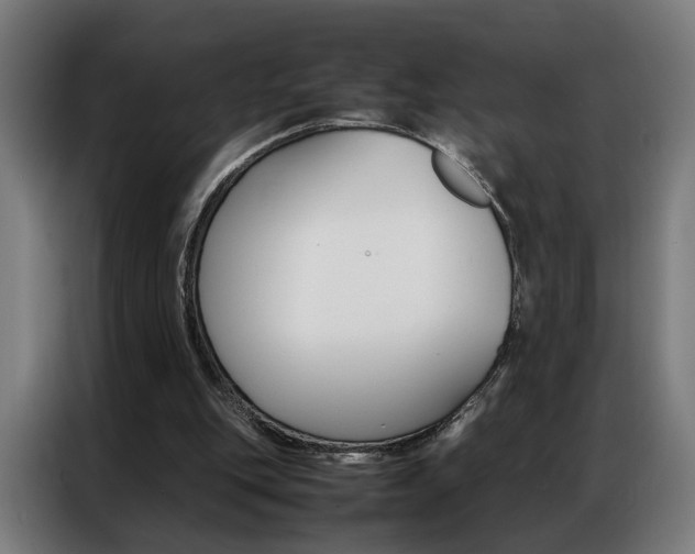X0000086970151200704161154