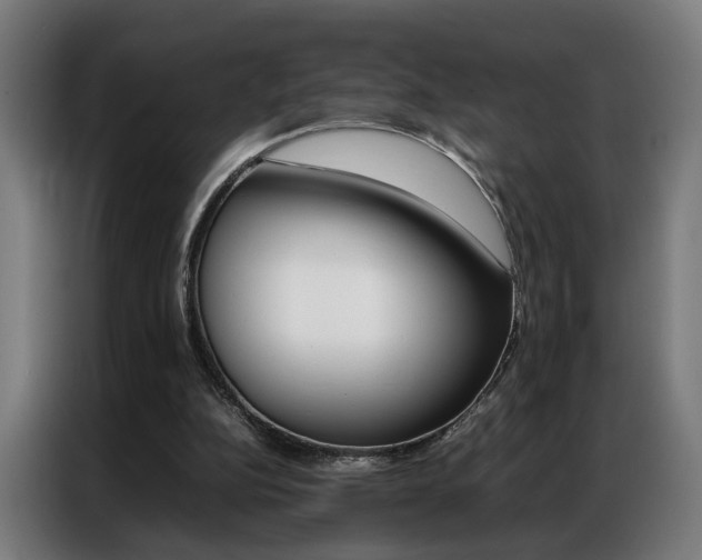 X0000086970152200704161154