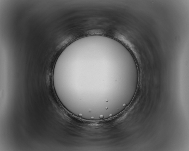 X0000086970153200704161154