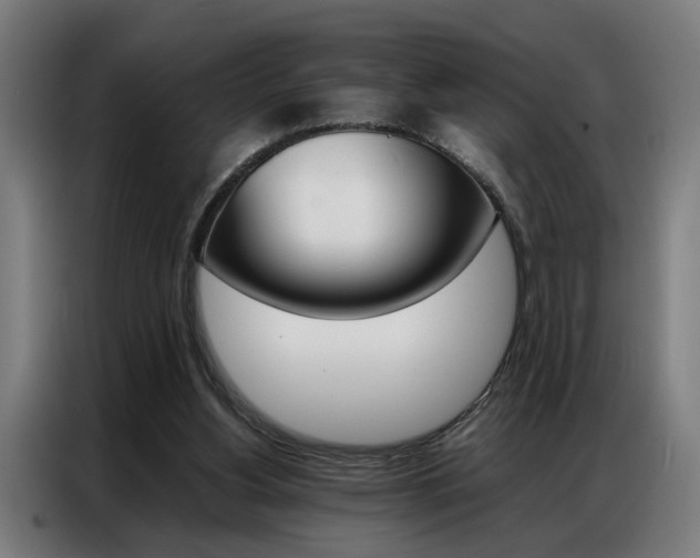 X0000086970156200704161154