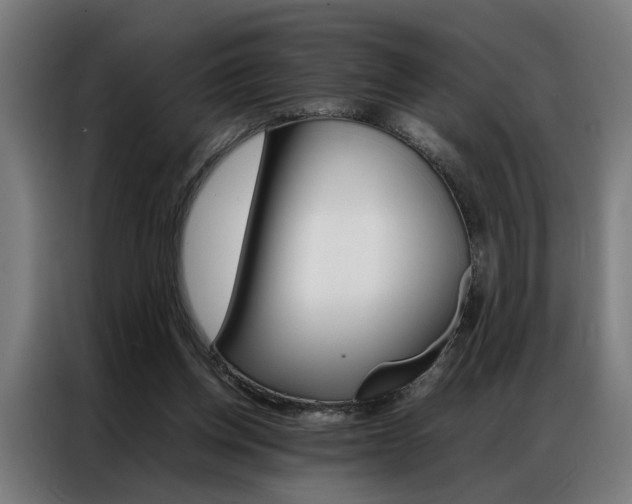 X0000086970158200704161154