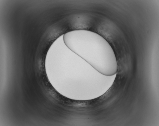 X0000086970162200704161154
