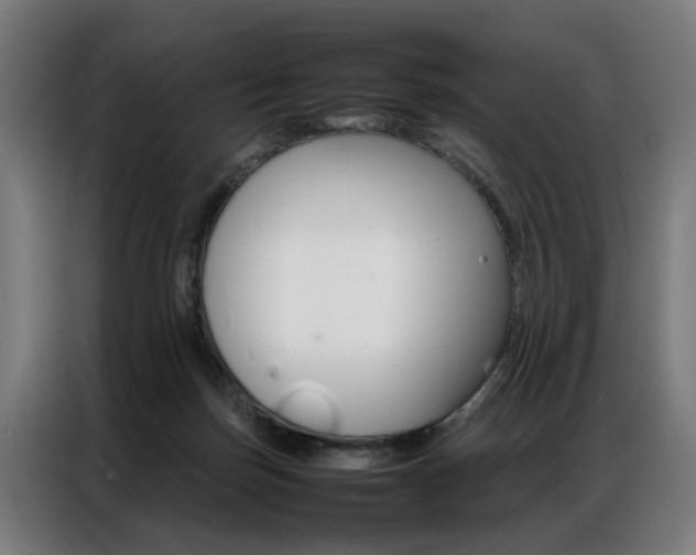 X0000086970171200704161154