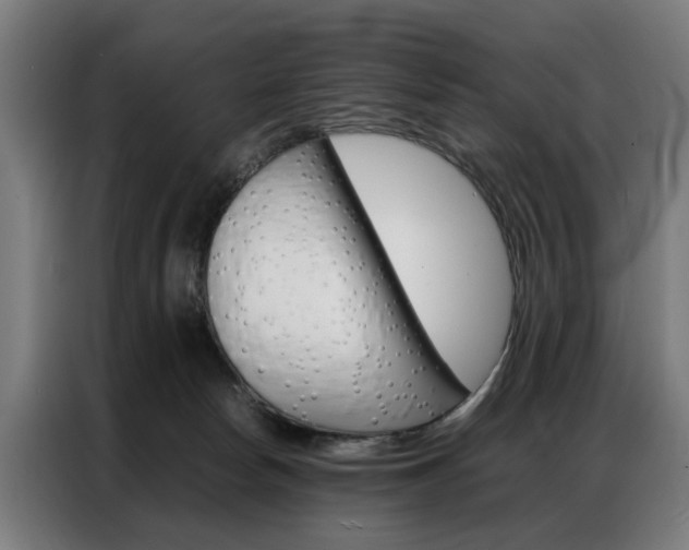 X0000086970178200704161154