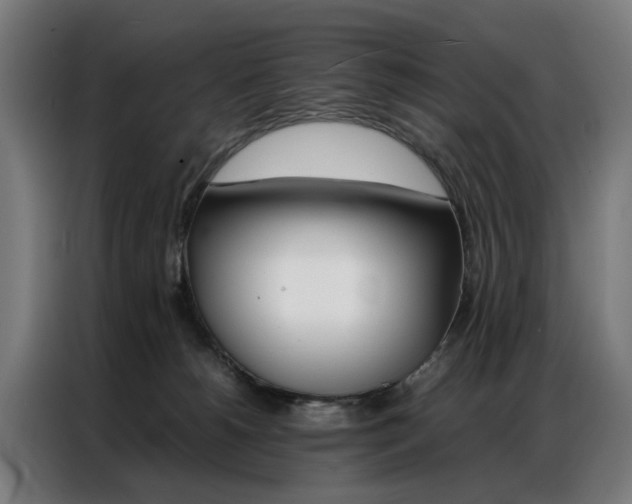 X0000086970180200704161154
