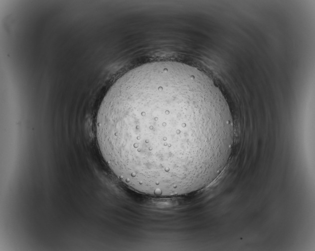 X0000086970187200704161154