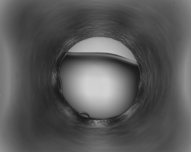 X0000086970188200704161154