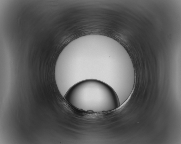 X0000086970190200704161154