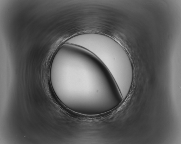 X0000086970193200704161154