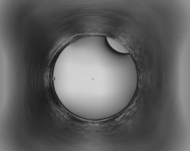 X0000086970194200704161154