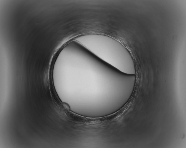 X0000086970196200704161154