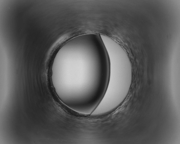 X0000086970197200704161154