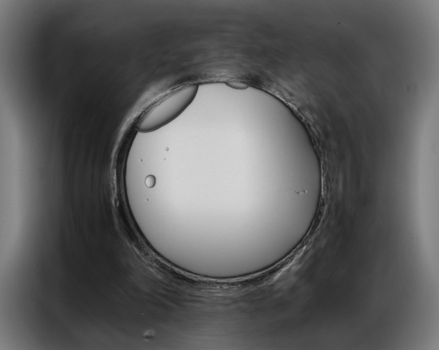 X0000086970198200704161154