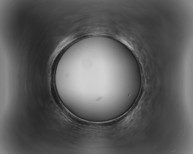 X0000086970199200704161154