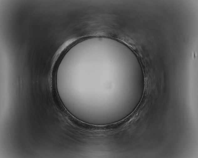 X0000086970200200704161154