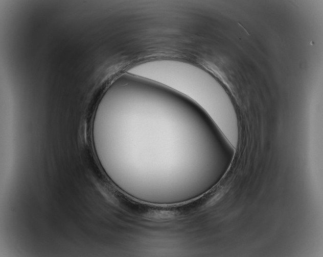 X0000086970205200704161153