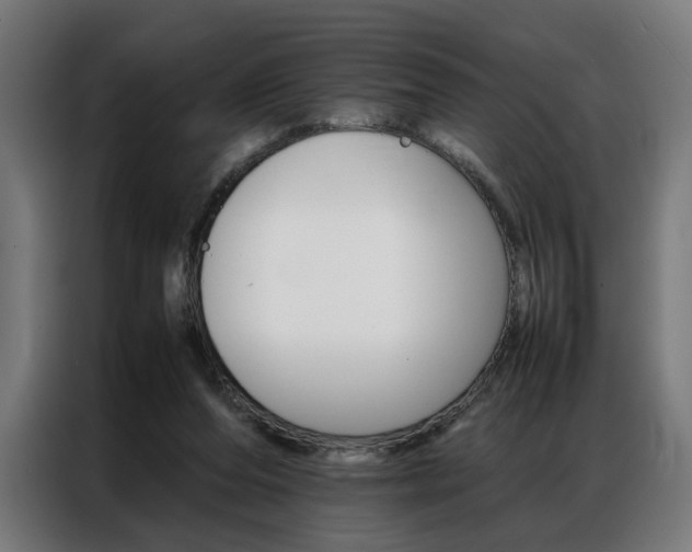 X0000086970208200704161153