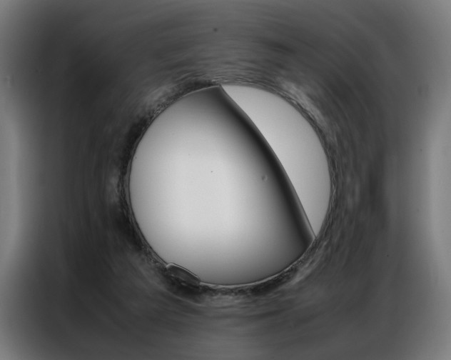 X0000086970209200704161153