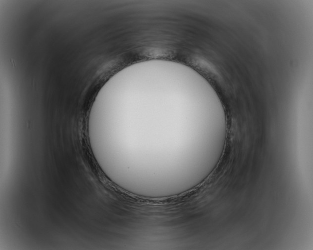 X0000086970210200704161153
