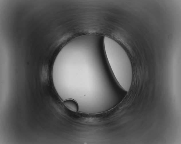 X0000086970212200704161153
