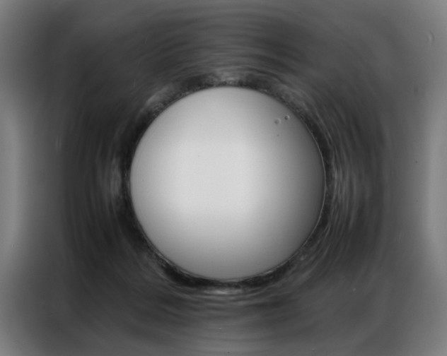 X0000086970220200704161153