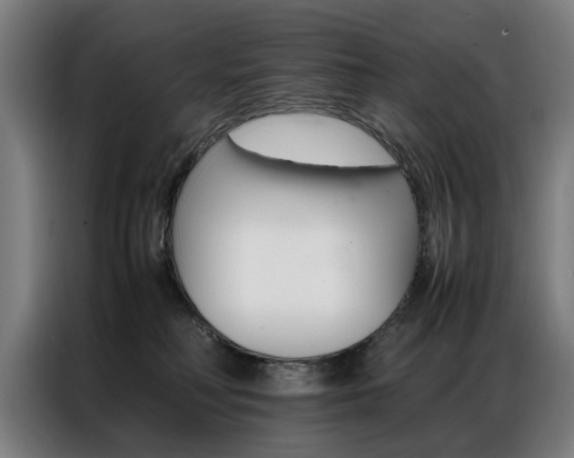 X0000086970230200704161153
